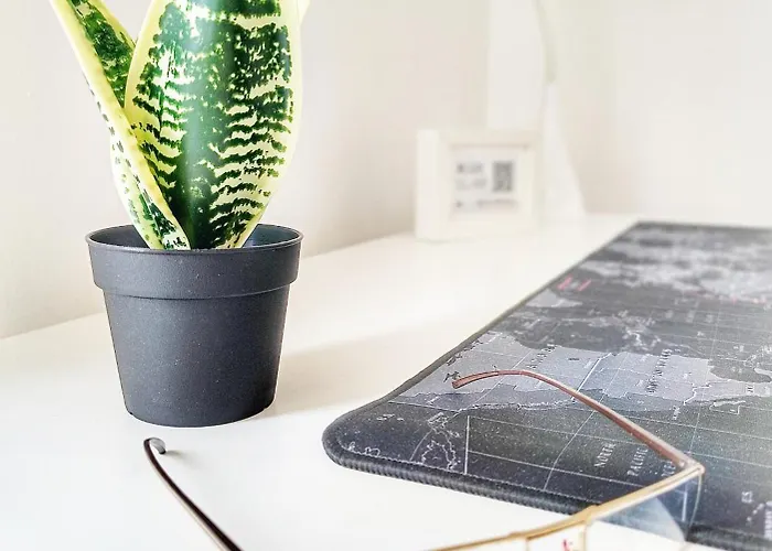 Experience - Your * Nazaré